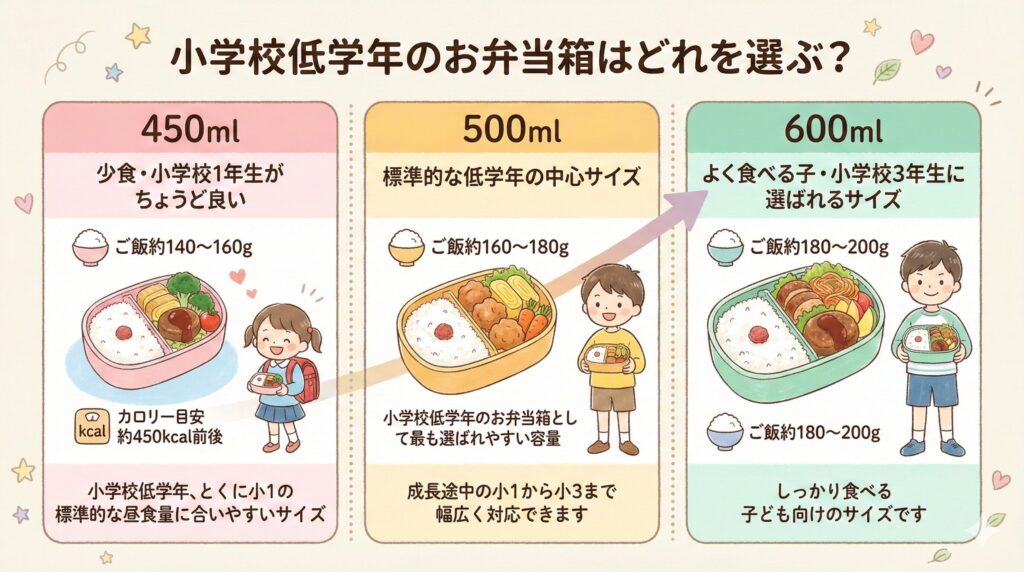 小学校低学年のお弁当箱はどれを選ぶ?サイズ別徹底比較